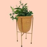 Limited Exclusive 6 inch Planter | INARA | 1 set ( pot + stand)