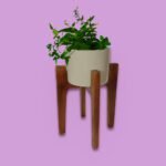 Exclusive Planter | Boketto|limited |1set ( pot + Stand)