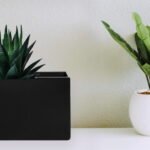 rectangle planter gallery