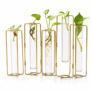 Exclusive Test Tube Planter| (5 test tubes+stand) hover image