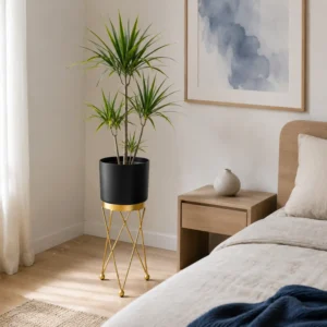 Black and Gold Planter