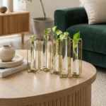 Exclusive Test Tube Planter| (5 test tubes+stand)