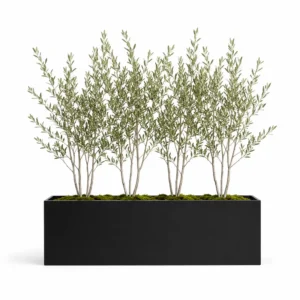 Large Black Rectangular Planters  | Rich Robust |1 Unit Black  32" hover image