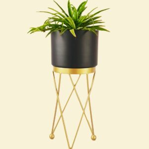 Black and Gold Planter