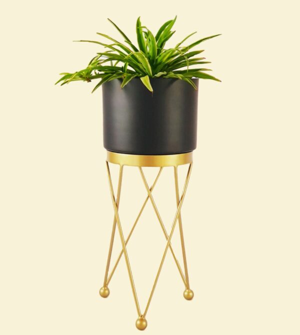 Black and Gold Planter