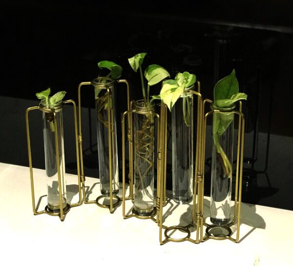 test tube planter