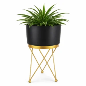 Super Exclusive Black Planter with stand ( Pack of 1) hover image