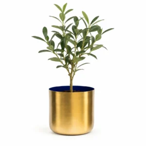 Luxurious Golden Metal Pot Planter | 1 unit ( 6 inch Pot) hover image