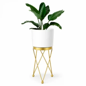 Exclusive White Planter-  Heavy Gauge ( Pack of 1) hover image