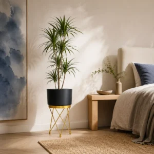 black planter