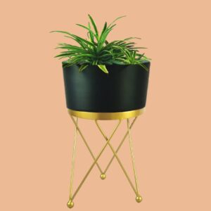 Black Planter