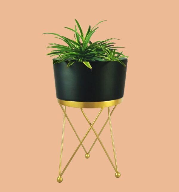 Black Planter