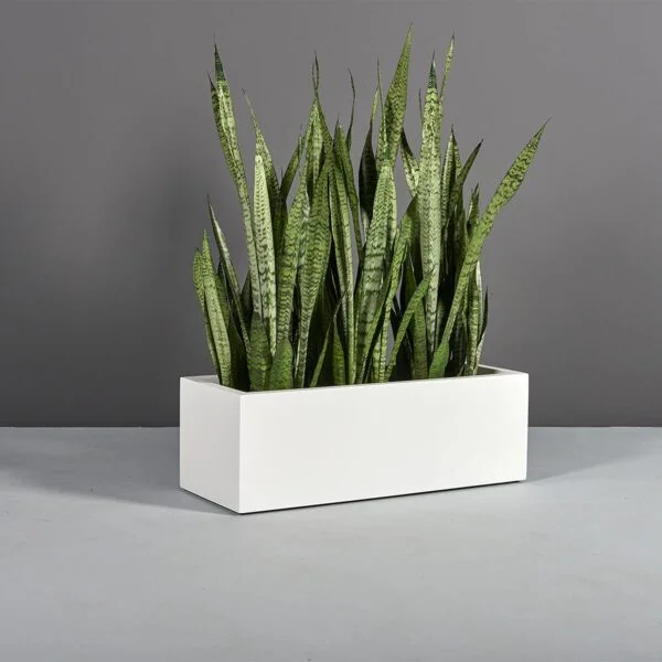 rectangular planter