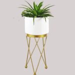 Exclusive White Planter |Heavy Gauge – 8 inch pot +Stand