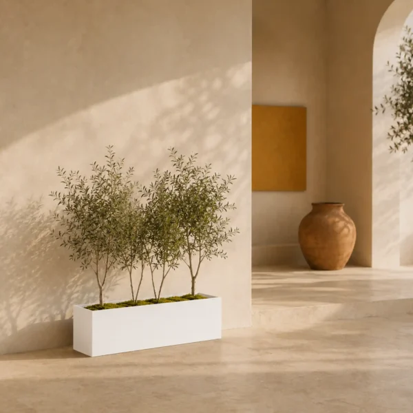 box planter