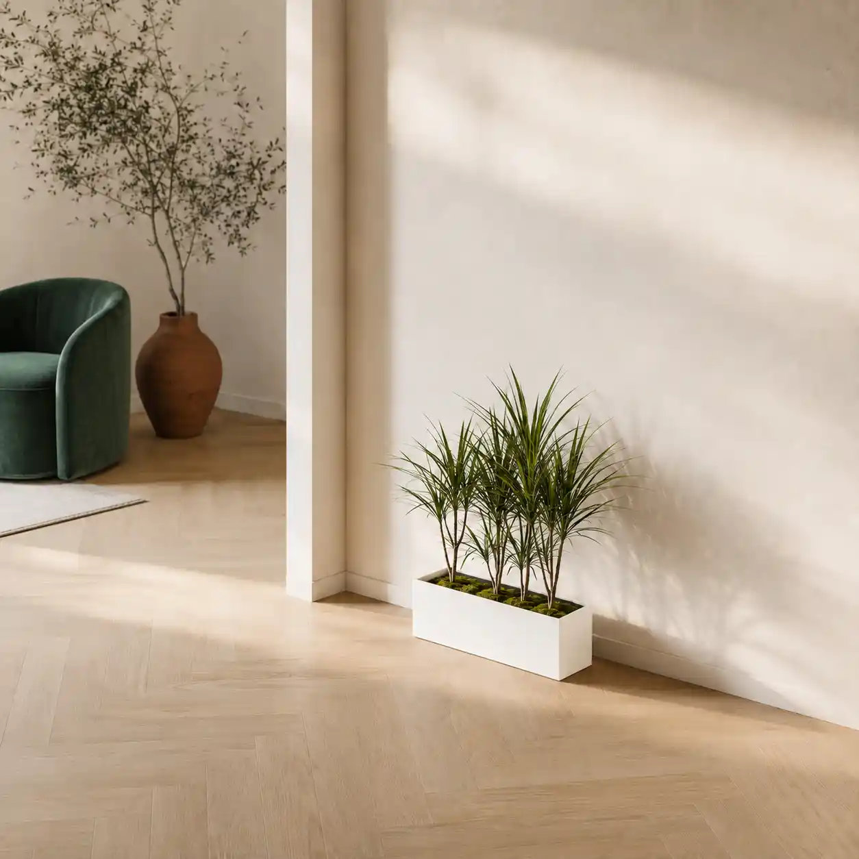 box planter