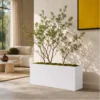 Rectangular Planter Box