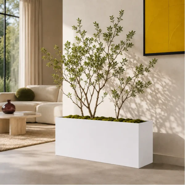 Rectangular Planter Box
