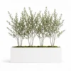 Rectangular Planter Box