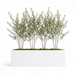 Limited Metal Rectangular Planters  | 1 Unit LARGE 24" hover image