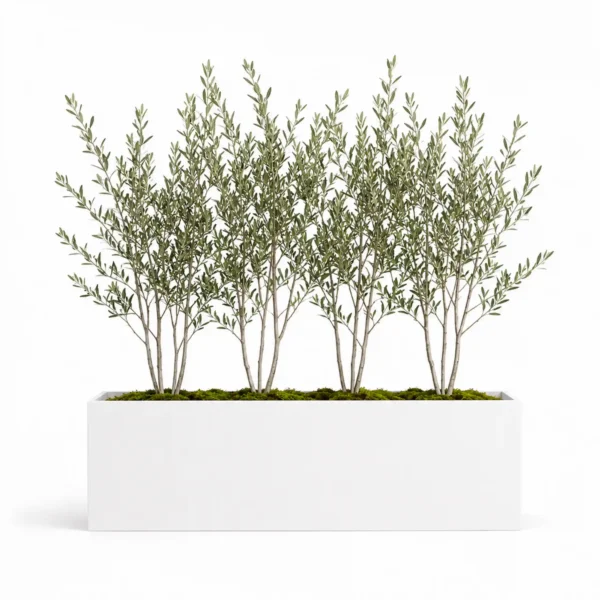 Rectangular Planter Box