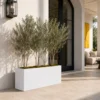 Rectangular Planter Box