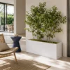 rectangular planter
