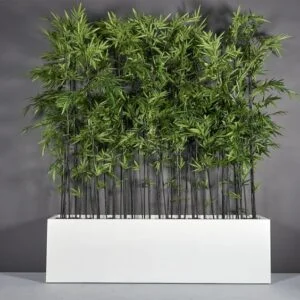 Rectangular Planter Box
