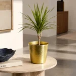 Hammered Planter | Rich Lightweight and Sturdy| ( Pack of 1 Gold)