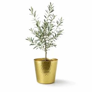 Hammered Planter | Rich Lightweight and Sturdy| ( Pack of 1 Gold) hover image