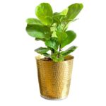 hammered planter