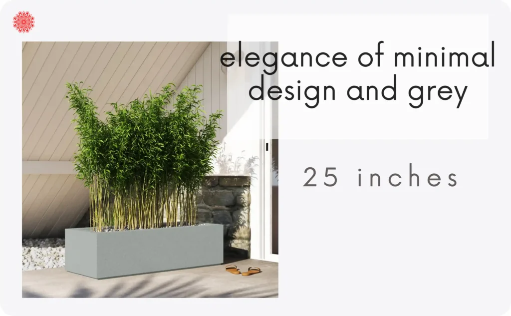 elegant and Minimalistic matte grey planter