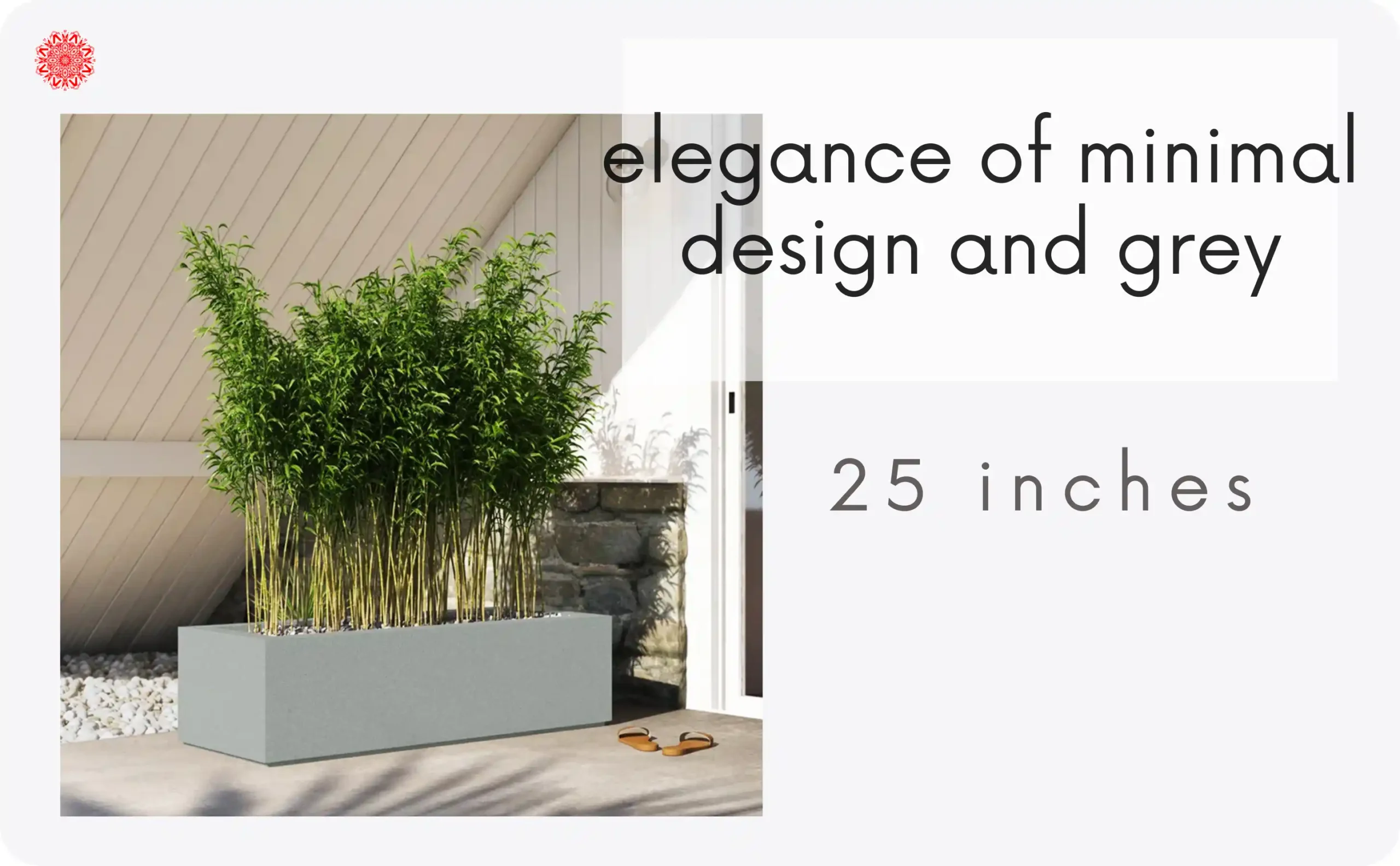 elegant and Minimalistic matte grey planter