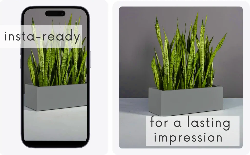 instagram and pinterest like planter