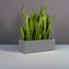 Rectangle Planter Pot Long