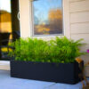 Large Rectangular Planters
