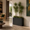 large outdoor planters