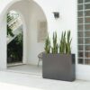 large outdoor planters
