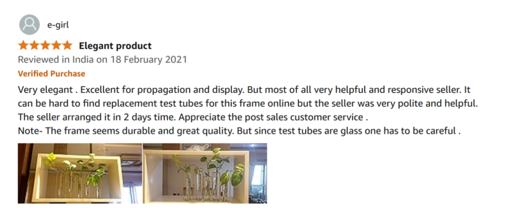 Positive review MORii
