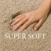 Plush Soft Rug Carpet