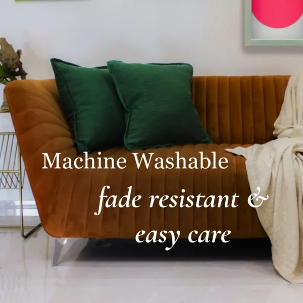 designer cushion cover
