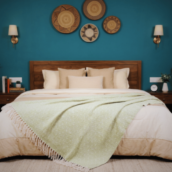 throw blankets for couch