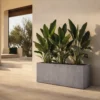 Rectangular plant containers