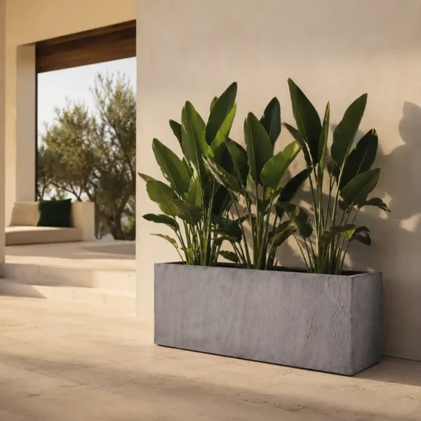 Rectangular plant containers