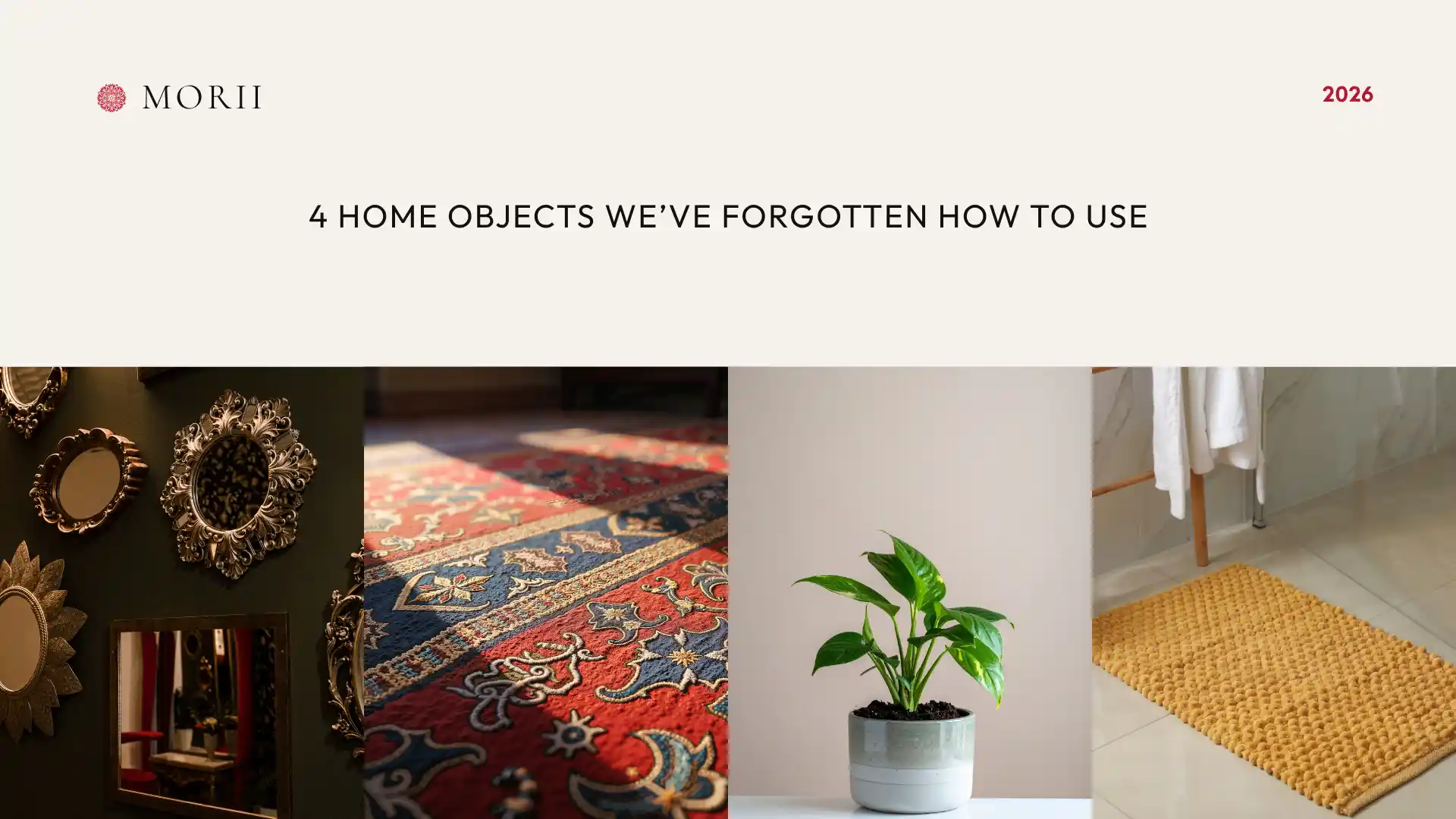 Blog Hero Image - Mirror - Rug-Planter-Bathmat- best use practices