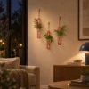 Test tube wall planter set styled with green foliage