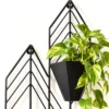 Close up of matte black Chevron metal wall planter with pothos