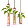 propagation planter