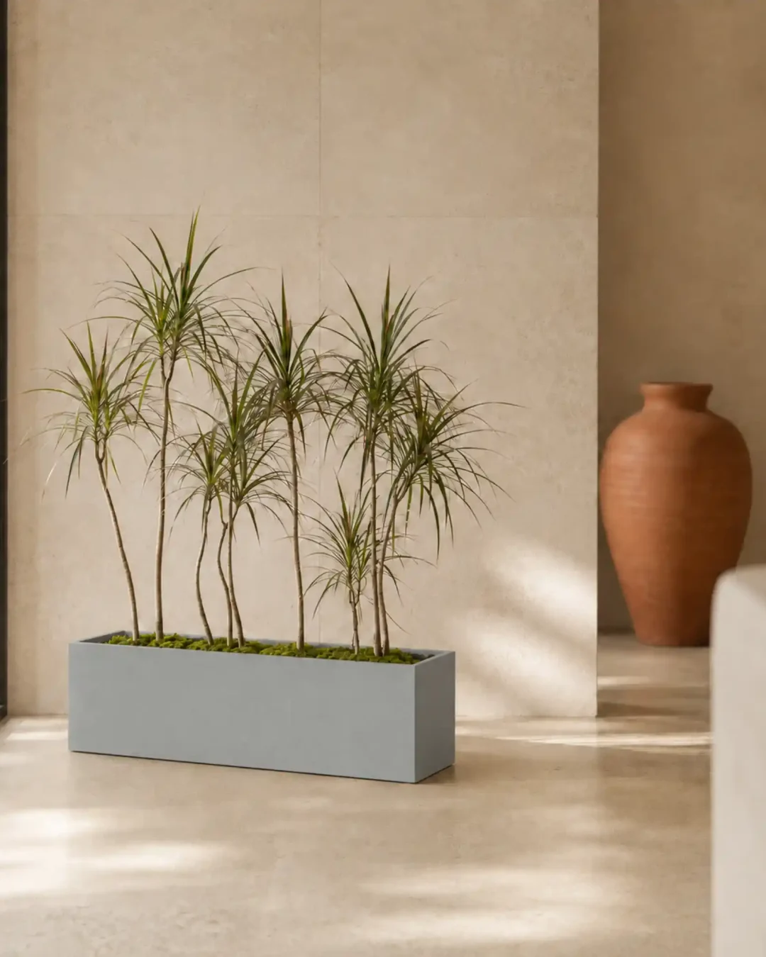 rectangle planter box